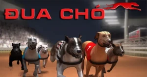 Chinh Phục Đua Chó SV388: Hành Trình Thắng Lớn Đầy Kịch Tính!